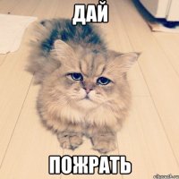 дай пожрать