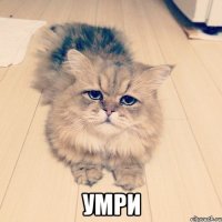  умри