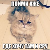 пойми уже где хочу там и сру