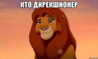 кто дирекшионер 