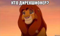 кто дирекшионер? 