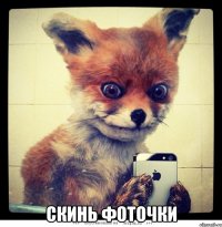  скинь фоточки