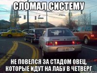 сломал систему не повелся за стадом овец, которые идут на лабу в четверг