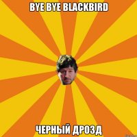bye bye blackbird черный дрозд
