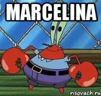 marcelina 