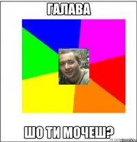 галава шо ти мочеш?