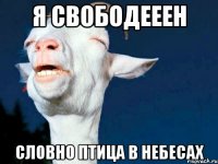 я свободееен словно птица в небесах