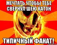 мечтать чтобы тебе свернул шею катон типичный фанат!