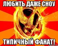 любить даже сноу типичный фанат!