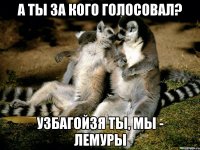 а ты за кого голосовал? узбагойзя ты, мы - лемуры
