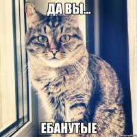 да вы... ебанутые