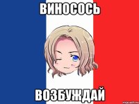 виносось возбуждай