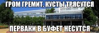 гром гремит, кусты трясутся перваки в буфет несутся