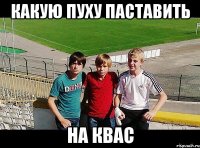 какую пуху паставить на квас