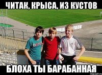 читак, крыса, из кустов блоха ты барабанная