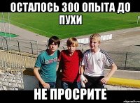 осталось 300 опыта до пухи не просрите