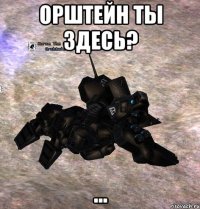 орштейн ты здесь? ...