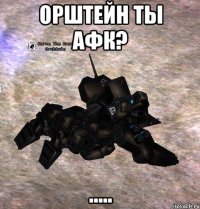 орштейн ты афк? .....