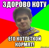 здорово коту его котлеткой кормят!