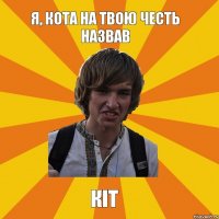 Я, кота на твою честь назвав Кіт