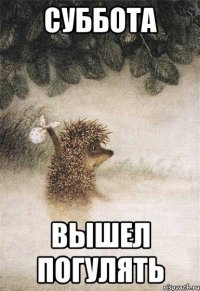 суббота вышел погулять