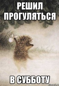 решил прогуляться в субботу