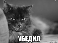  убедил