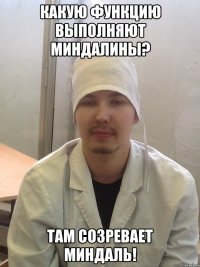 какую функцию выполняют миндалины? там созревает миндаль!