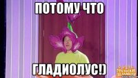 потому что гладиолус!)