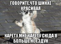 говорите,что шинхе красивая карету мне карету сюда я больше не ездун