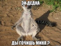 эй дедка ды гочишь миня ?