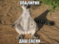 опа чирик даш сасни