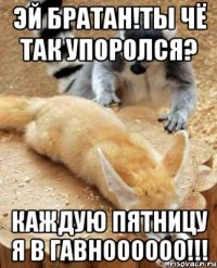 эй братан!ты чё так упоролся? каждую пятницу я в гавноооооо!!!