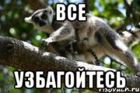 все узбагойтесь
