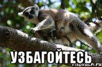  узбагойтесь