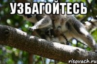 узбагойтесь 