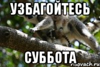 узбагойтесь суббота