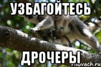 узбагойтесь дрочеры