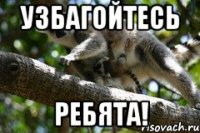 узбагойтесь ребята!