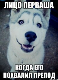 лицо перваша когда его похвалил препод