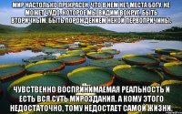 мир настолько прекрасен, что в нем нет места богу. не может чудо, которое мы видим вокруг, быть вторичным, быть порождением некой первопричины. чувственно воспринимаемая реальность и есть вся суть мироздания. а кому этого недостаточно, тому недостает самой жизни.