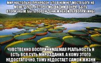мир настолько прекрасен, что в нем нет места богу. не может чудо, которое мы видим вокруг, быть вторичным, быть порождением некой первопричины чувственно воспринимаемая реальность и есть вся суть мироздания. а кому этого недостаточно, тому недостает самой жизни