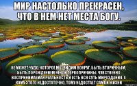 мир настолько прекрасен, что в нем нет места богу. не может чудо, которое мы видим вокруг, быть вторичным, быть порождением некой первопричины. чувственно воспринимаемая реальность и есть вся суть мироздания. а кому этого недостаточно, тому недостает самой жизни