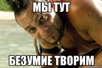 мы тут безумие творим