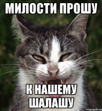 милости прошу к нашему шалашу