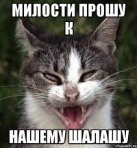 милости прошу к нашему шалашу