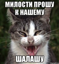 милости прошу к нашему шалашу