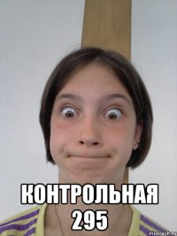  контрольная 295