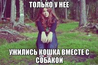 только у нее ужились кошка вместе с собакой
