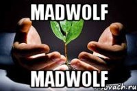 madwolf madwolf